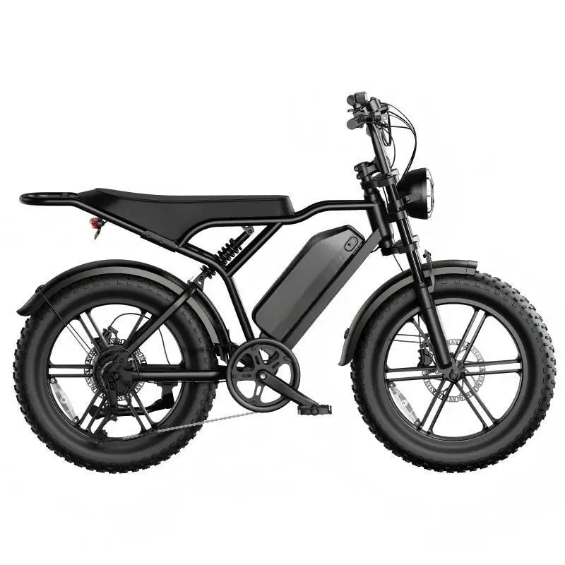 Wholesale High Speed Electric Fat Bike 20 Inch Dual Battery Hydraulic Brake EU Warehouse Off Road Fastest in Stock Dropshipping
