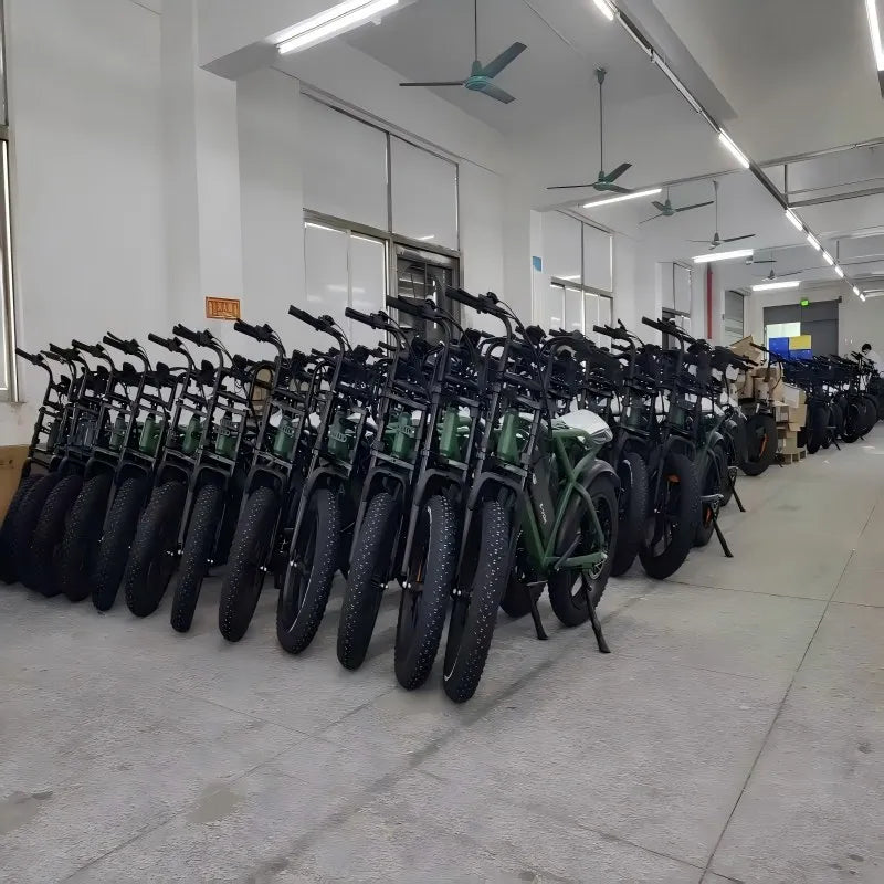 Factory Direct Wholesale  250W 20 Inch Oil Disc Brakes E Bicycle  Electric 7 Speed Lithium Lcd Rear Hub Fat Tire Electric Bike