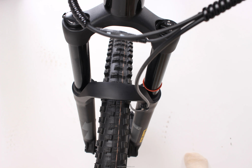 ATV&UTVOla Plus 48V20Ah 500W M600 Bafang E Bike Mid Drive Motor 29inch Adult MTB E Bike Electric Mountain Bike