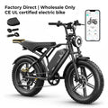Wholesale High Speed Electric Fat Bike 20 Inch Dual Battery Hydraulic Brake EU Warehouse Off Road Fastest in Stock Dropshipping