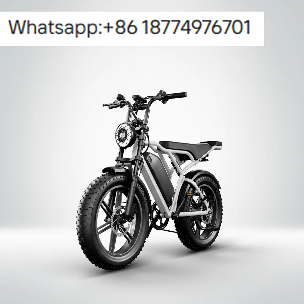 Wholesale High Speed Electric Fat Bike 20 Inch Dual Battery Hydraulic Brake EU Warehouse Off Road Fastest in Stock Dropshipping