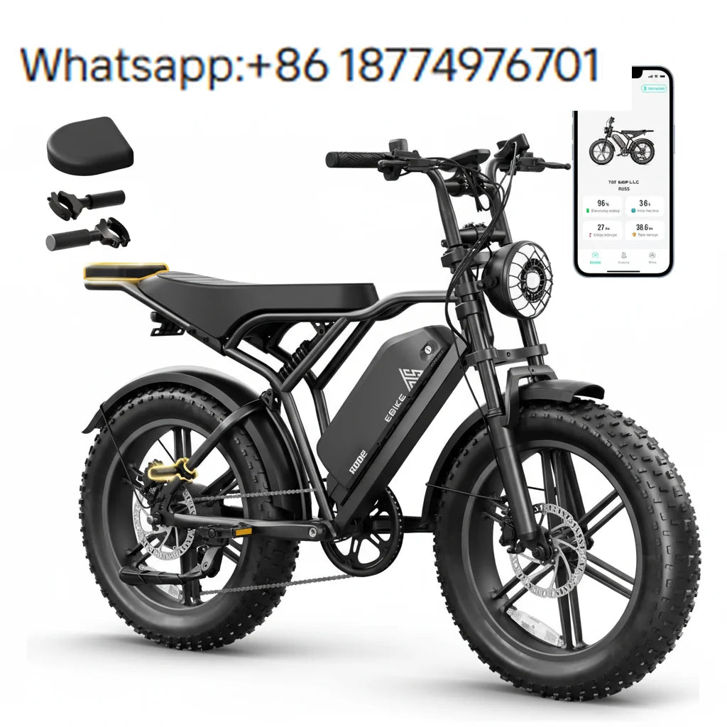 Factory Direct Wholesale  250W 20 Inch Oil Disc Brakes E Bicycle  Electric 7 Speed Lithium Lcd Rear Hub Fat Tire Electric Bike