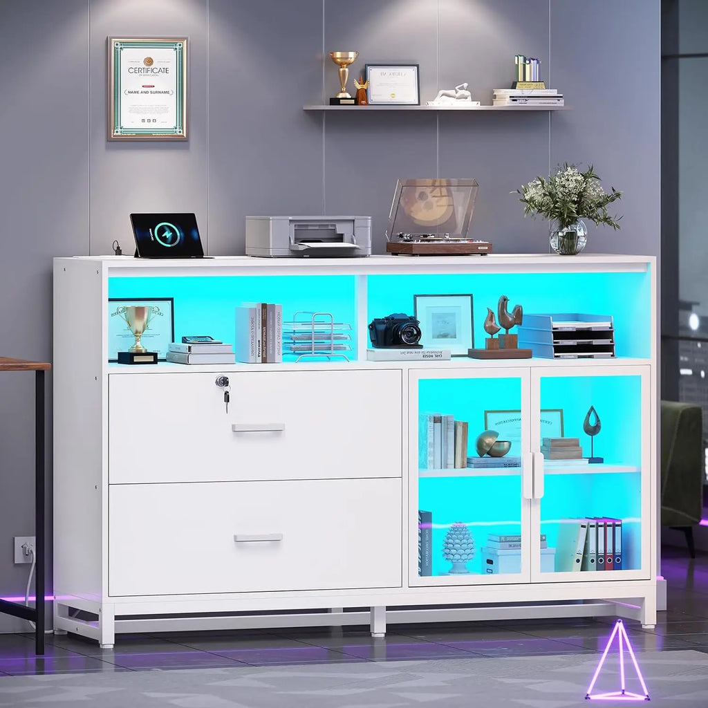 59" File Cabinet, 2 Drawers Filing Cabinets for Home Office fit Legal/Letter/A4 File, File Cabinet with Lock , Customized