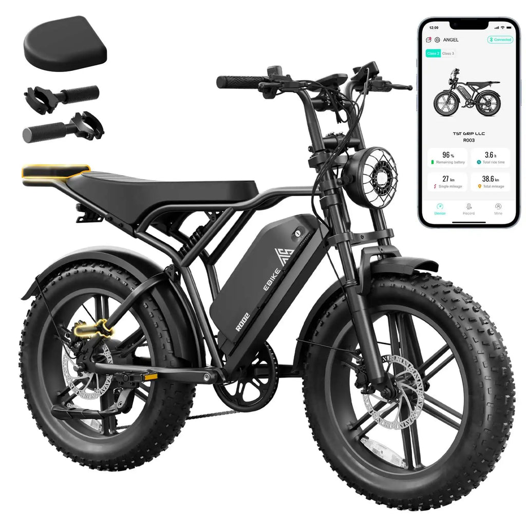 Factory Direct Wholesale  250W 20 Inch Oil Disc Brakes E Bicycle  Electric 7 Speed Lithium Lcd Rear Hub Fat Tire Electric Bike